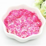 Fulgi de gheata, paiete pentru unghii Cod PFG001 Fuchsia Mermaid Effect Fulgi de gheata, paiete pentru unghii Cod PFG001 Fuchsia Mermaid Effect